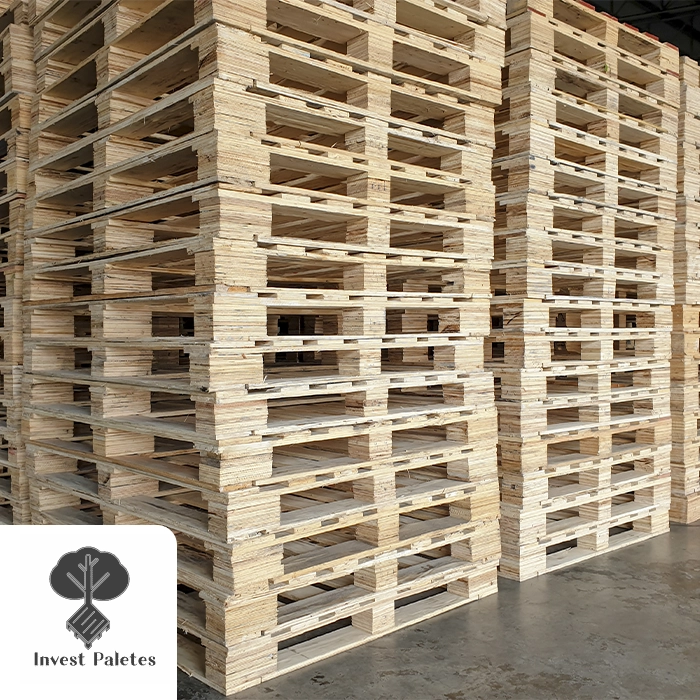 Caixas de madeira para indústrias
