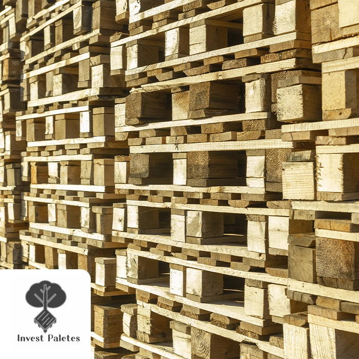 paletes madeira logística empresas industrial